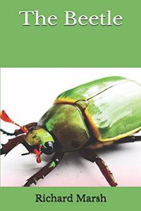 The Beetle