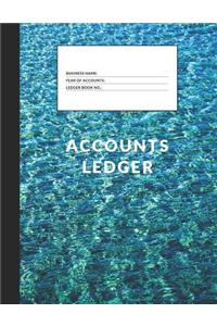 Accounts Ledger