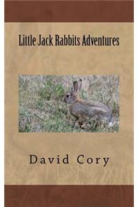 Little Jack Rabbits Adventures