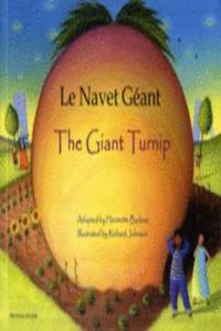 Giant Turnip French & English