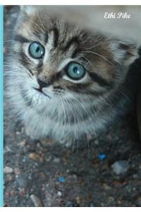 Ethi Pike - Blue-Eyed Gem Kitten Notebook