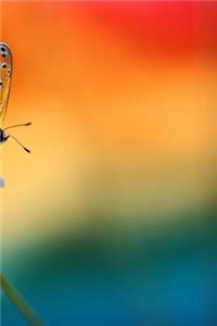 Butterfly Notebook
