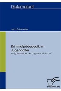 Kriminalpädagogik im Jugendalter - Aufgabenfelder der Jugendsozialarbeit