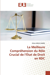 La Meilleure Compréhension du Rôle Crucial de l'État de Droit en RDC