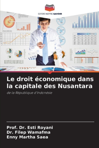 droit économique dans la capitale des Nusantara