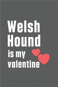 Welsh Hound is my valentine