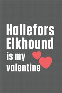 Hallefors Elkhound is my valentine
