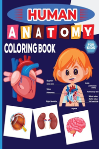 Human Anatomy Coloring Book For Kids: human anatomy for drawing flashcards coloring book for toddlers A visual analogy study guide coloring workbook Great Gift for Boys & girls the good 