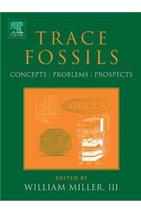 Trace Fossils