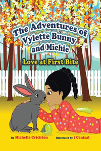 Adventures of Vylette Bunny and Michie