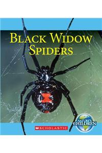 Black Widow Spiders