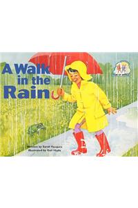 A Walk in the Rain