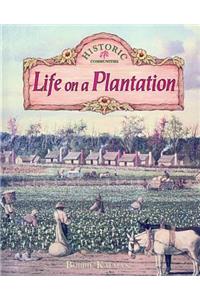 Life on a Plantation