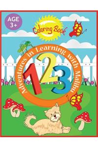 Adventures in Learning with Malibu