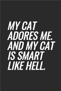 My Cat Adores Me. And My Cat Is Smart Like Hell