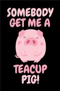 Somebody Get Me A Teacup Pig