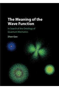 Meaning of the Wave Function