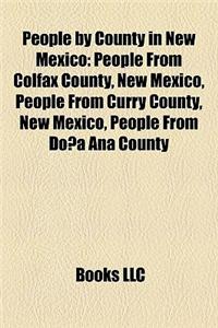 People by County in New Mexico