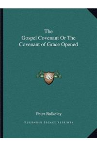 Gospel Covenant or the Covenant of Grace Opened