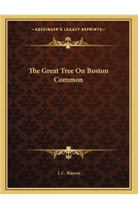 The Great Tree On Boston Common