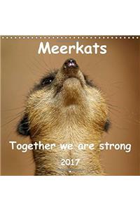 Meerkats - Together We are Strong 2017 2017: Meerkats are Cute Little Predators. (Calvendo Animals)