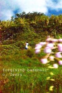 Forgiving Baseball