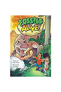 Steck-Vaughn Pair-It Books Proficiency Stage 5: Leveled Reader Bookroom Package Fossils Alive!