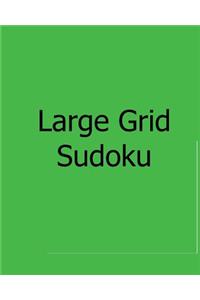 Large Grid Sudoku