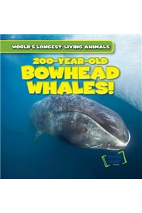 200-Year-Old Bowhead Whales!