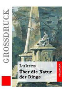 Über die Natur der Dinge (Großdruck)