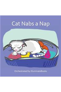 Cat Nabs a Nap