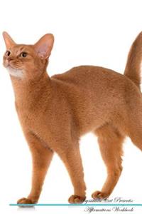Abyssinian Cat Affirmations Workbook Abyssinian Cat Presents