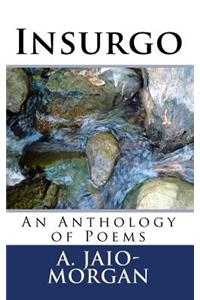 Insurgo