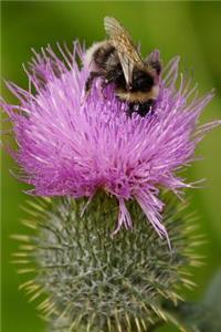 A Buzzing Bee on a Pink Flower Journal