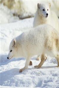 Journal White Snow Fox