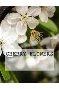 Cherry Flowers