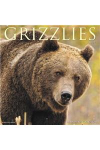 Grizzlies 2019 Wall Calendar