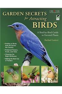 Garden Secrets for Attracting Birds