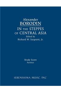 In the Steppes of Central Asia