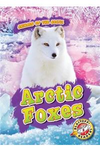 Arctic Foxes