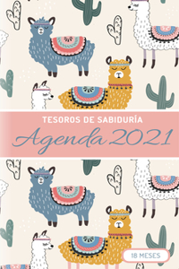2021 Planificador - Tesoros de Sabiduría - Llamas