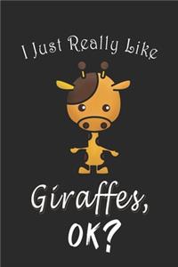 I Just Really like Giraffes, OK ? Journal