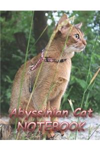 Abyssinian Cat NOTEBOOK