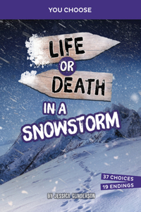 Life or Death in a Snowstorm: An Interactive Survival Adventure