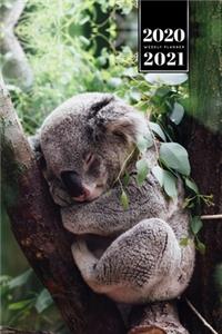 Koala Bear Rainforest Week Planner Weekly Organizer Calendar 2020 / 2021 - Sleeping in Tree
