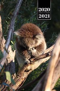 Koala Bear Rainforest Week Planner Weekly Organizer Calendar 2020 / 2021 - Sitting Sleeping