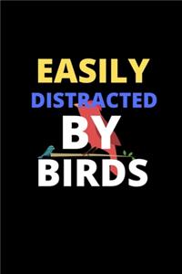 Easily Distracted by Birds