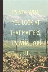 It's Not What You Look At That Matters, It's What You See