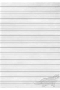 Maine Coon Cat Journal