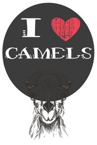 I Heart Camels